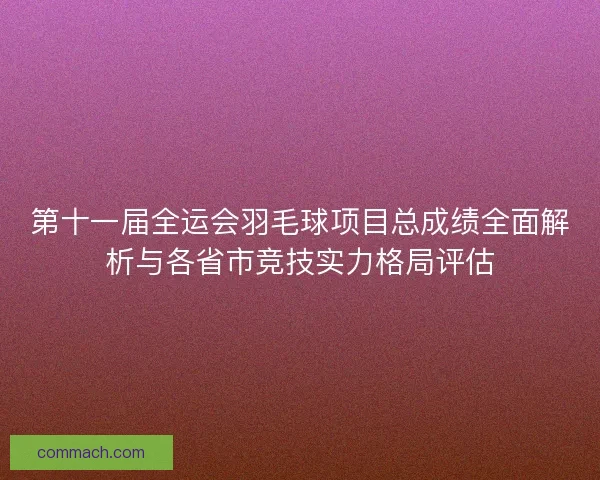 第十一届全运会羽毛球项目总成绩全面解析与各省市竞技实力格局评估
